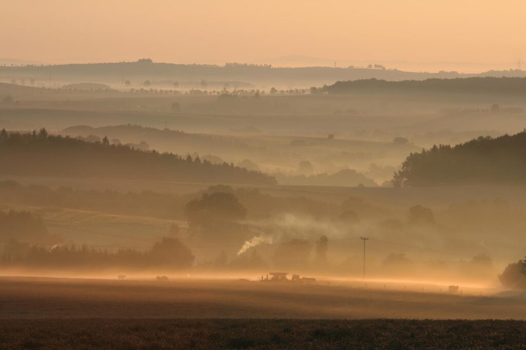 Bild des Monats Januar 2023, Foto: Falk Müller