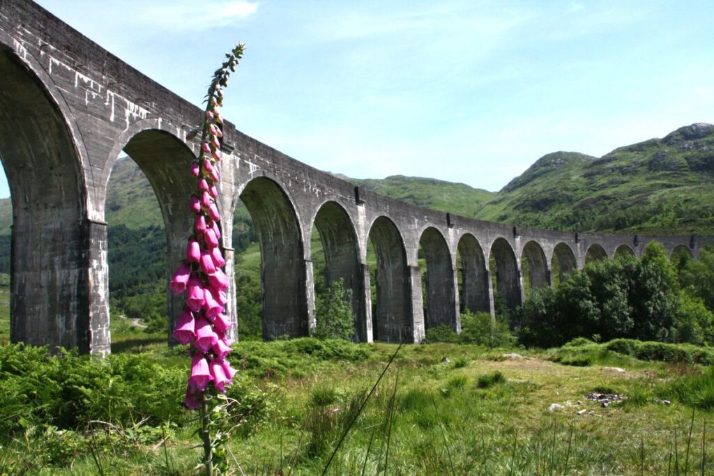 Schottland Viadukt Foto: Matthias Köhler