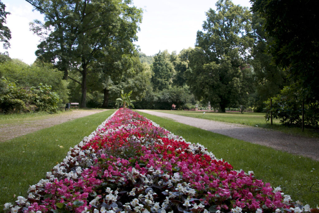 Blumenrabatte