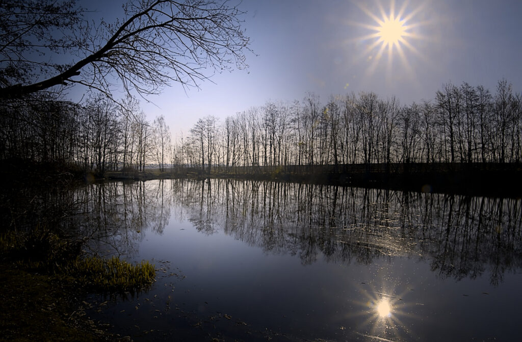 Die Natur als Spiegel