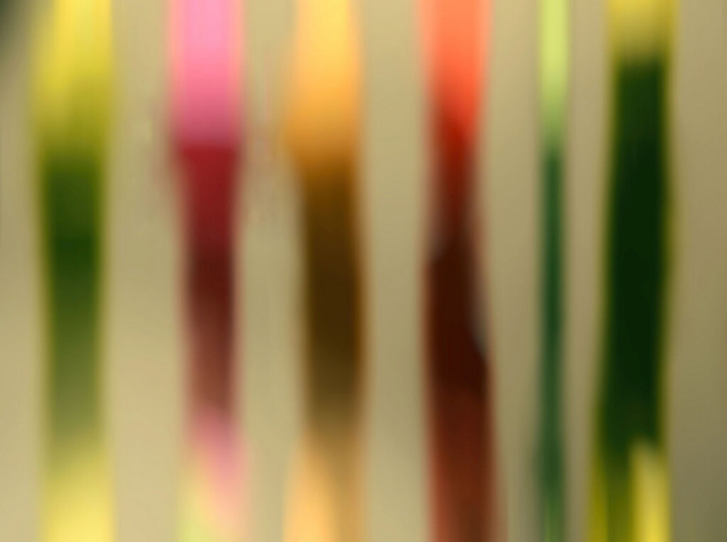 Farbe in Makro (2)