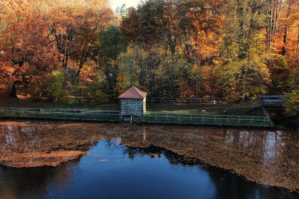 Seerenteich