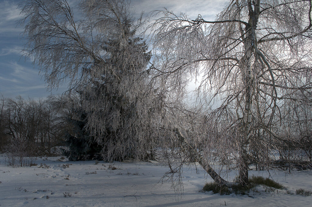 Silberner Frost