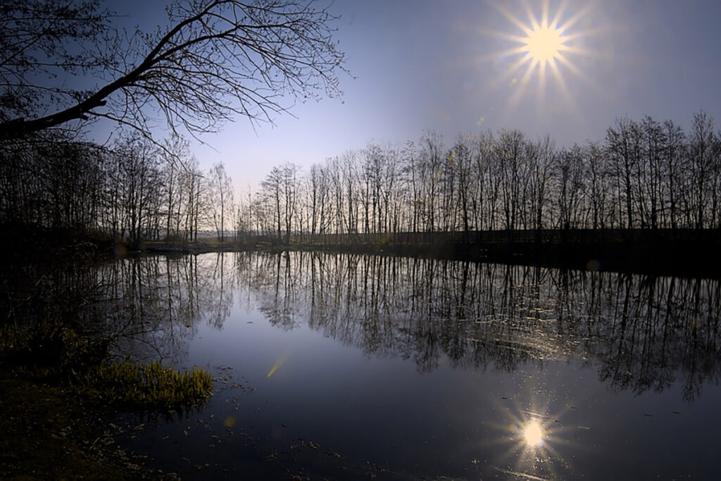 Dorfteich, Foto: Birgit Böhmer